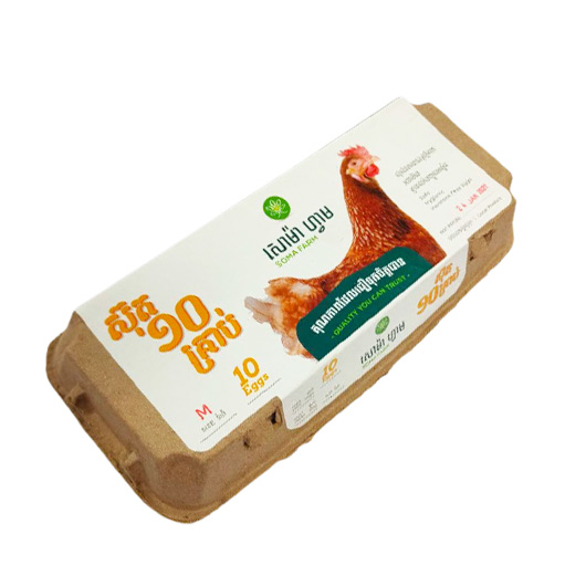 SOMA CHICKEN EGG (M SIZE) 10` S
