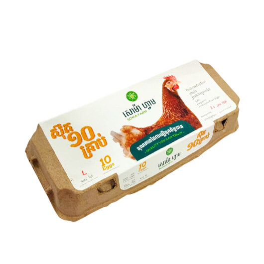 SOMA CHICKEN EGG (L SIZE) 10`S