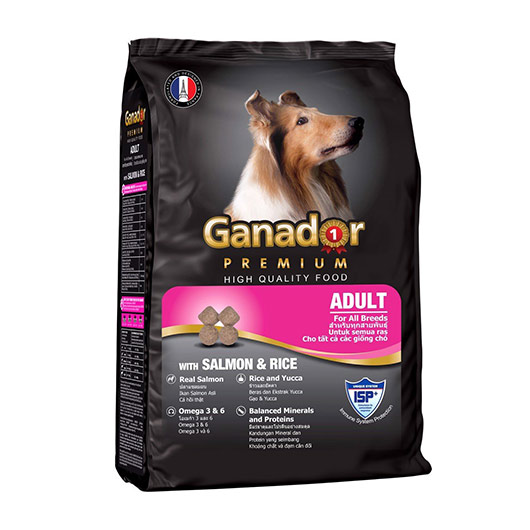 Devor orqali mushuk tugadi Er oz xotiniga ovorani taklif qildi