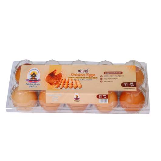 BTB CHICKEN EGGS NO.3 10/PACK