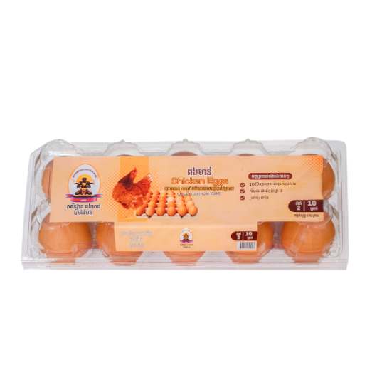 BTB CHICKEN EGGS NO.2 10/PACK